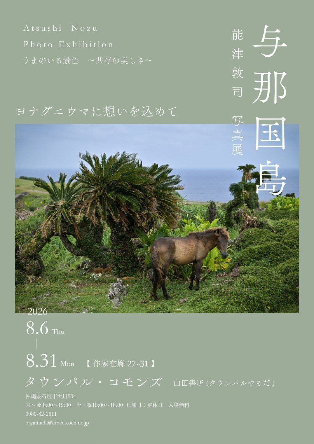 能津敦司写真展「うまのいる景色―共存の美しさ―」の告知フライヤー。与那国馬と島の風景が掲載されている
