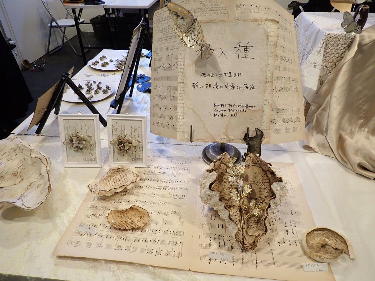 移入種 展示作品