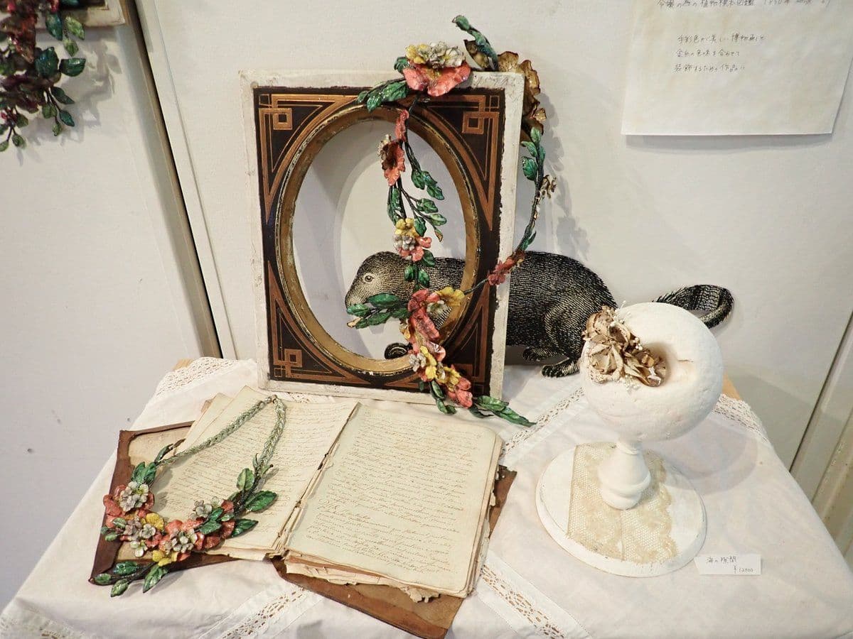 専門の技師によって彩色された博物画と漂着ゴミを使った作品