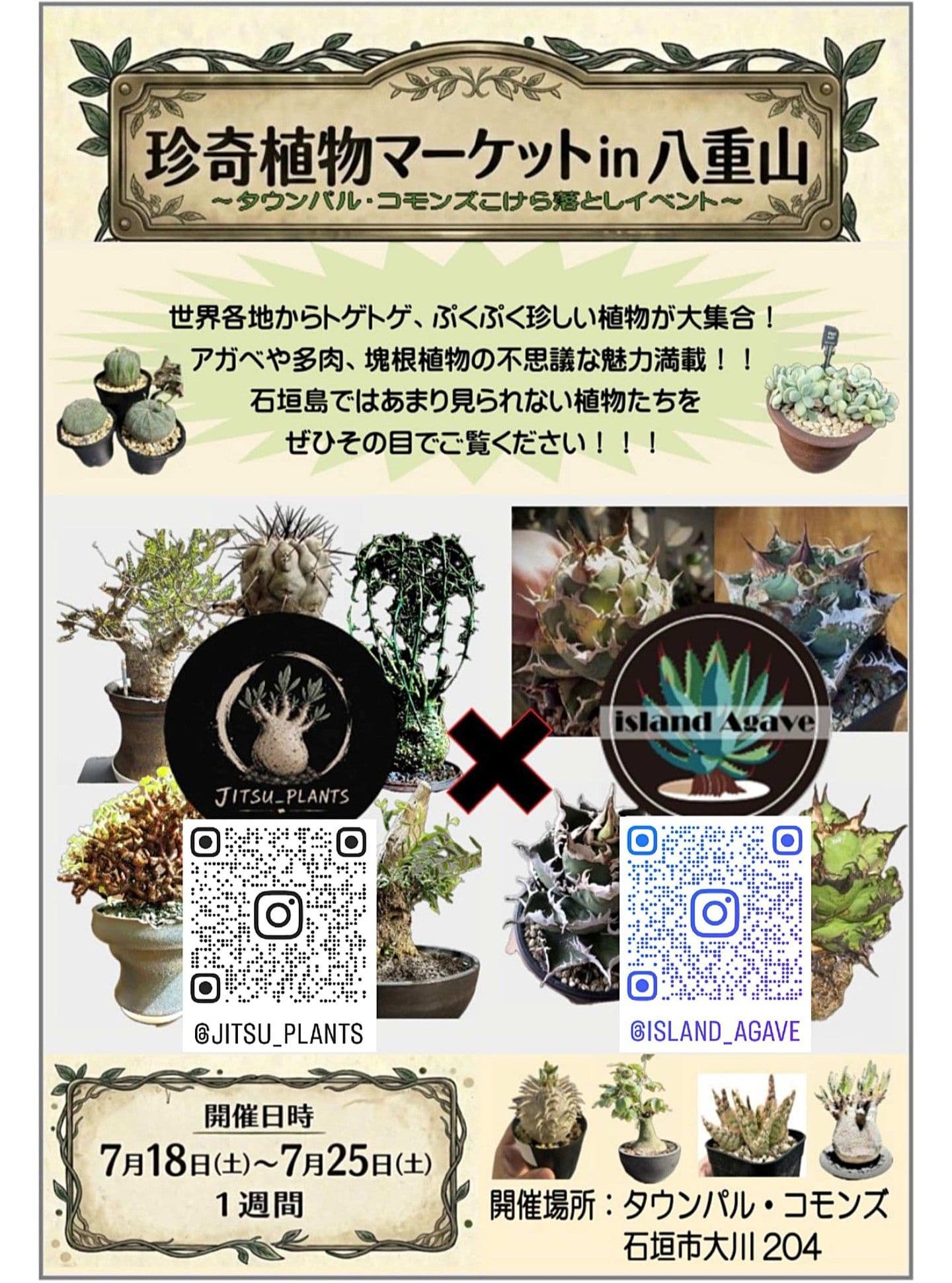 珍奇植物マーケット in 八重山 告知ポスター